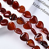 Natural Red Agate Beads Strands G-S364-097-4