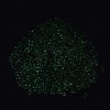 Luminous Glass Seed Beads SEED-A033-07B-5