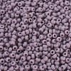 MIYUKI Round Rocailles Beads X-SEED-G007-RR0410F-3