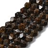 Natural Bronzite Beads Strands G-Z119-A30-02-3