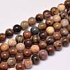 Natural Petrified Wood Round Bead Strands G-F266-08-8mm-1