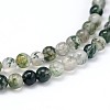 Natural Moss Agate Round Bead Strands G-J303-07-4mm-3