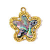 304 Stainless Steel Paua Shell Pendants STAS-OY002-24G-1