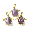 Natural Amethyst Pendants KK-F888-01G-19-1