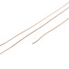 10M 304 Stainless Steel Wire TWIR-N005-0.3mm-RG-2