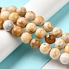 Natural Crazy Agate Beads Strands G-H298-A12-05-2