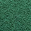 TOHO Round Seed Beads X-SEED-TR11-0055DF-2