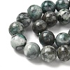 Natural Dioptase Beads Strands G-D302-02-10mm-4