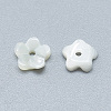 Natural White Shell Beads SSHEL-S260-053-2