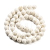 Natural Fossil Beads Strands G-H026-02A-3