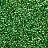 TOHO Round Seed Beads X-SEED-TR11-0167-2