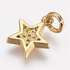 Brass Micro Pave Cubic Zirconia Charms ZIRC-G087-35G-2