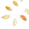 Natural Yellow Shell Beads Strands SSHEL-S278-118-3
