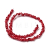 Natural Freshwater Shell Beads SHEL-B003-01C-2
