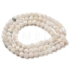 Natural Rainbow Moonstone Beads Strands G-A097-A02-06-3