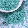 MIYUKI Round Rocailles Beads SEED-G007-RR0485-1