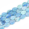 Freshwater Shell Beads Strands X-SHEL-S274-61C-2