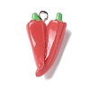 Resin Iron Pendants LS-RESI-D280-16-1
