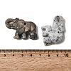 Natural Mixed Gemstone Carved Pendants G-D365-01A-3