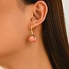 Brass Resin Dangle Earrings for Women NB9245-2-3