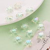 Transparent Acrylic Beads TACR-S152-02D-SS2111-6