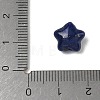 Natural Lapis Lazuli Beads G-T149-01F-3
