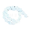 Transparent Glass Enamel Beads Strands GLAA-B021-06J-2