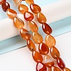Natural Red Agate Beads Strands G-K357-A09-01-2