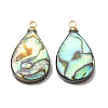 Natural Abalone Shell Pendants SH-CJC0AC7-01B-G-1
