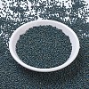 MIYUKI Round Rocailles Beads SEED-X0057-RR4516-2