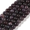 Natural Lepidolite/Purple Mica Stone Beads Strands G-P530-B06-02-1