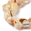 Natural Sea Shell Beads Strands SHEL-K006-16B-3