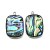 304 Stainless Steel Pave Natural Paua Shell Pendants STAS-Z125-01I-P-1