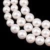 Electroplated Glass Pearl Graduated Beads Strands BSHE-C011-03B-4