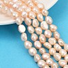 Natural Cultured Freshwater Pearl Beads Strands PEAR-P064-20K-04C-02-1