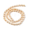 Natural Cultured Freshwater Pearl Beads Strands PEAR-I007-01A-03B-3