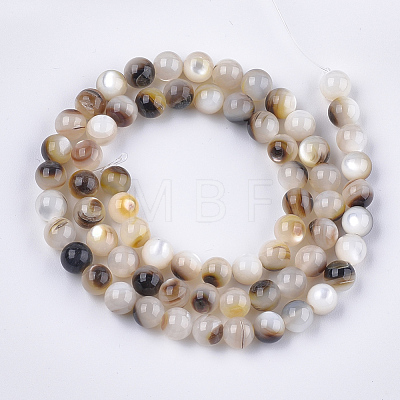 Black Lip Shell Beads Strands SHEL-S274-92D-1