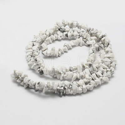 Natural Howlite Beads Strand G-F328-05-1