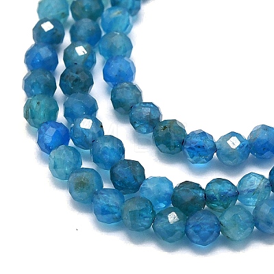 Natural Apatite Beads Strands G-G106-C06-02-1