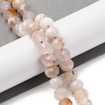 Natural Cherry Blossom Agate Beads Strands G-K380-A43-03-1