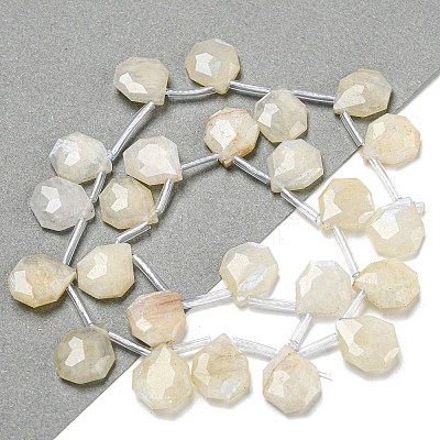 Natural Rainbow Moonstone Beads Strands G-P544-C04-01-1