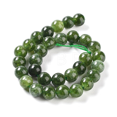 Dyed Natural Malaysia Jade Beads Strands G-G021-02B-13-1