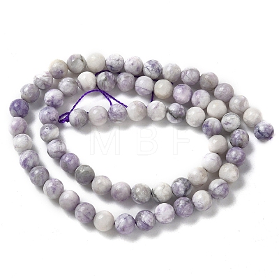 Natural Purple Turquoise Beads Strands G-L595-C04-01-1