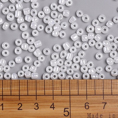 (Repacking Service Available) Glass Seed Beads SEED-C020-4mm-141-1