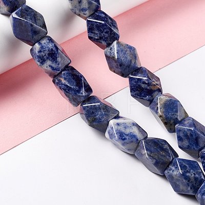 Natural Sodalite Beads Strands G-L235A-15-1