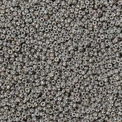 MIYUKI Round Rocailles Beads X-SEED-G009-RR1865-1