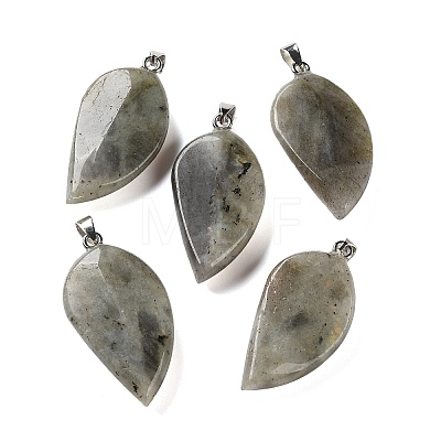 Natural Labradorite Pendants GG-CBACB71-05P-15-1