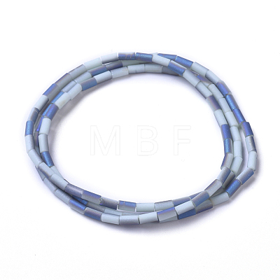 Electroplated Frosted Glass Beads Strands EGLA-G071-F10-1