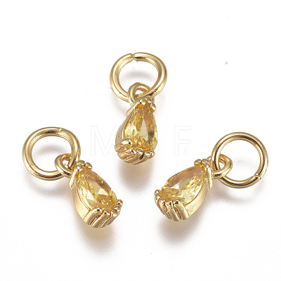 Brass Micro Pave Cubic Zirconia Charms ZIRC-F111-04G-1