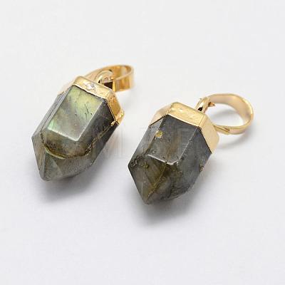 Natural Labradorite Pointed Charms G-G720-12-G06-1